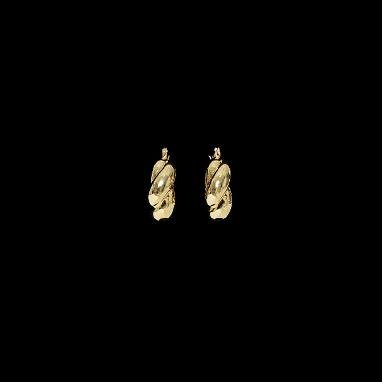AJ-6511 Earrings