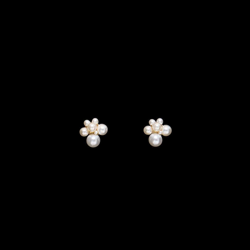 AJ-6732 Earrings
