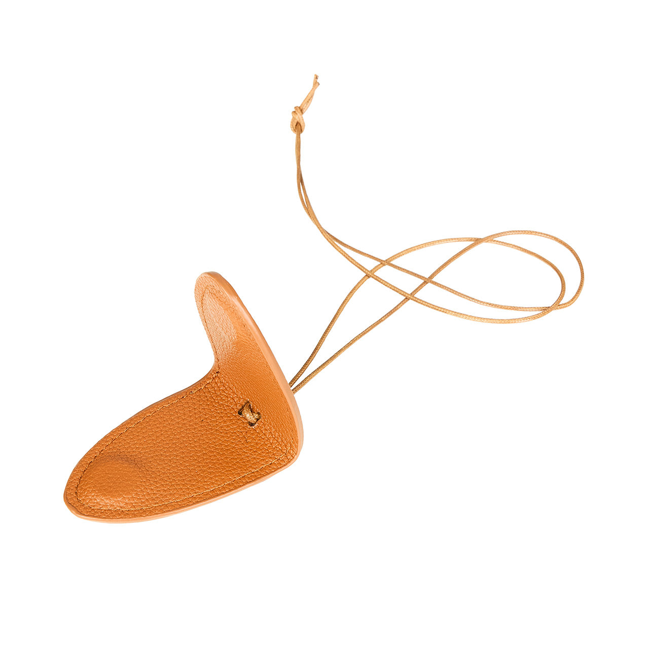 EC-269 Strap Glass Case