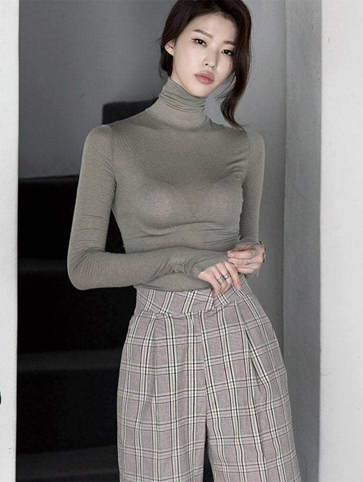 E2510 Sheer Slim Turtleneck Top